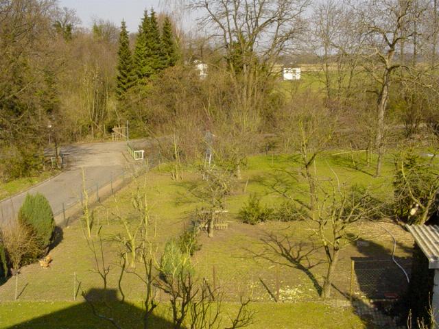 Zum Vergr��ern anlicken.